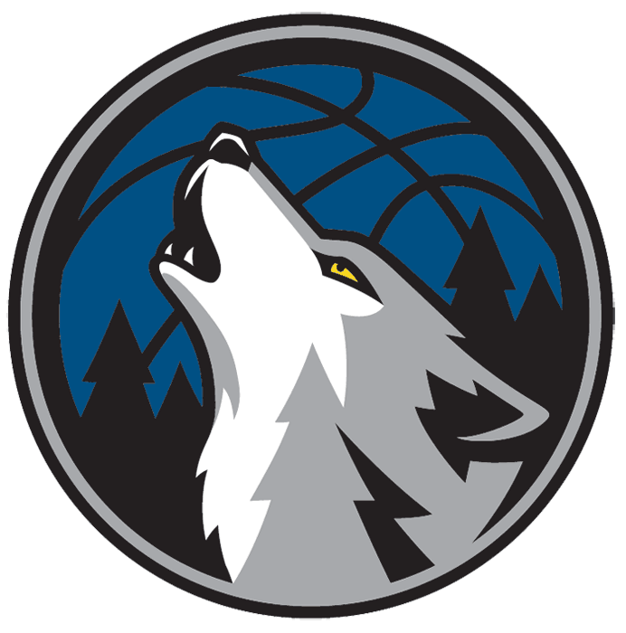 Minnesota Timberwolves 2008-2017 Alternate Logo iron on heat transfer v2